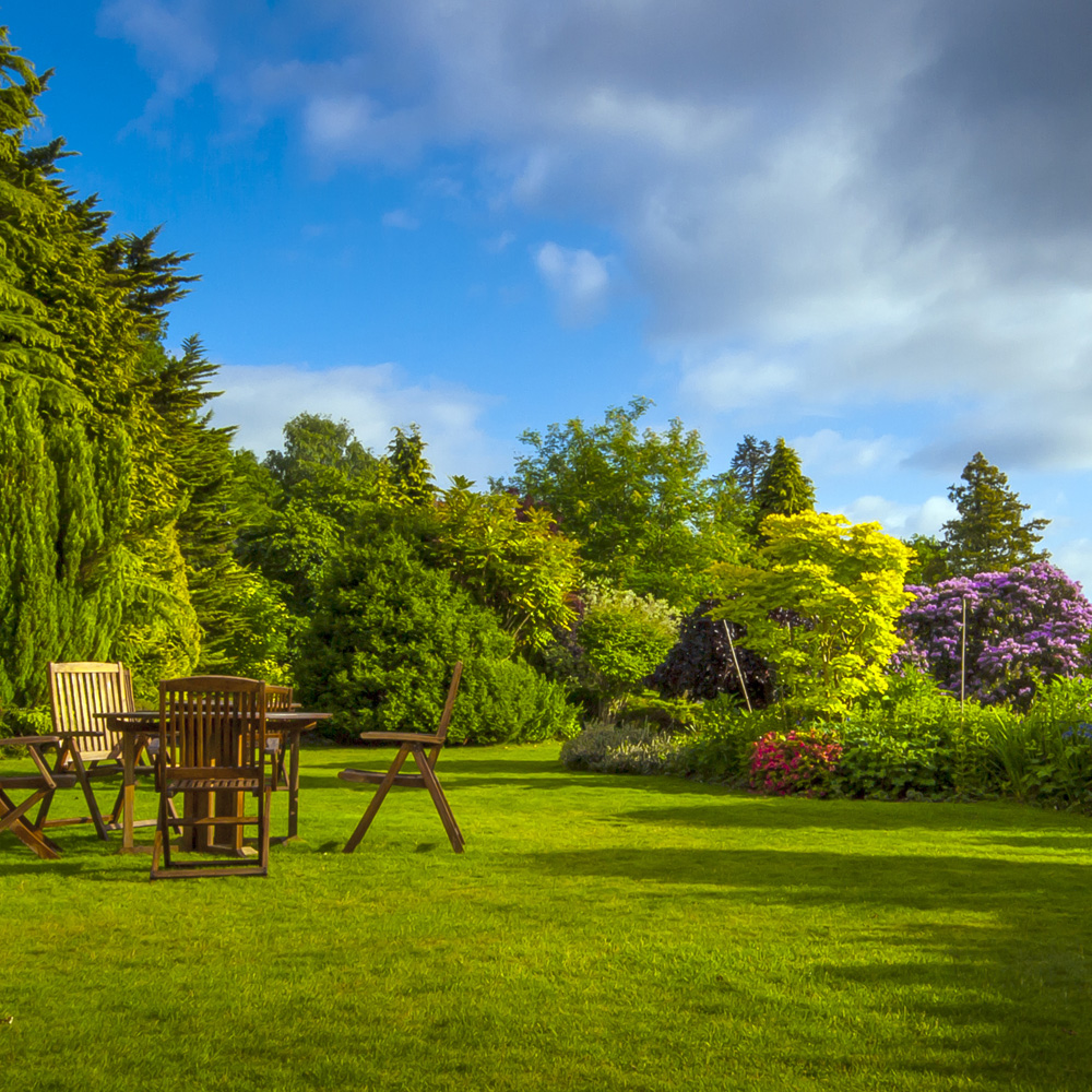 Planting and landscaping image