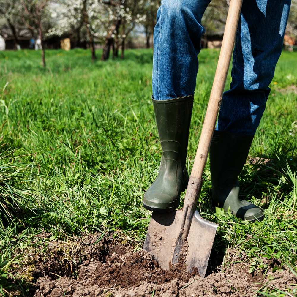 Planting service image