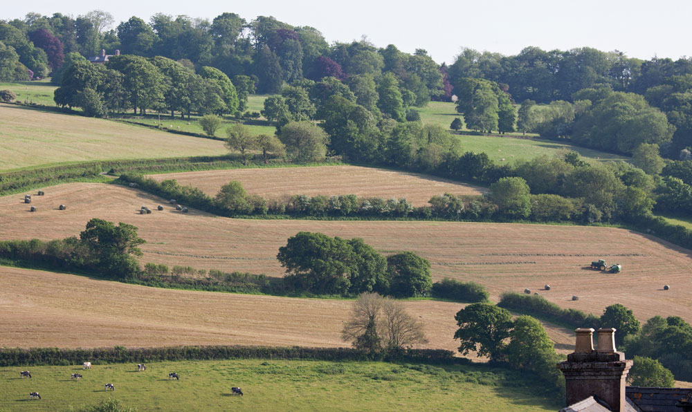 Uk countryside with hedges and farmland