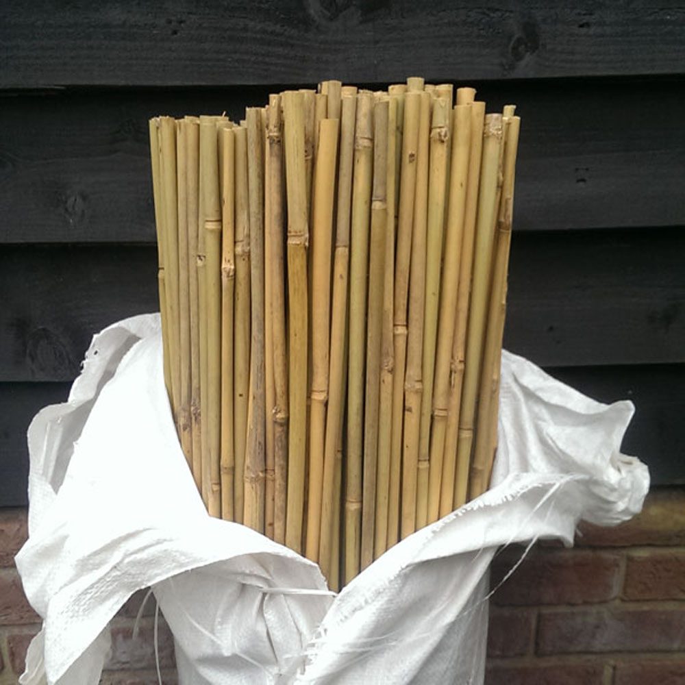 Bamboo Canes 90cm tall