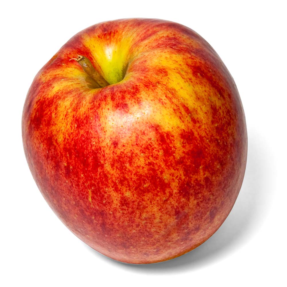 Malus domestica James Grieve – James Grieve Apple 6-8cm girth