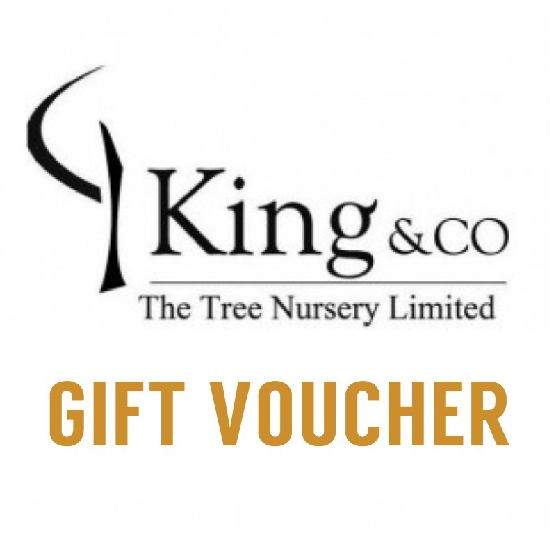 King and Co Gift Voucher