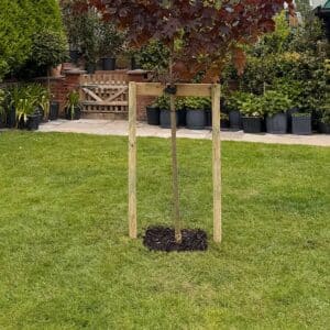 Buy a Heavy Duty Tree Planting Kit