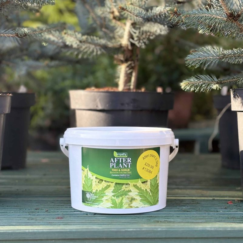 After Plant Tree & Shrub – 2.5kg