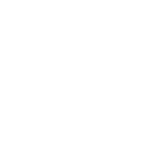 Social icon