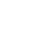Social icon