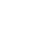 Social icon